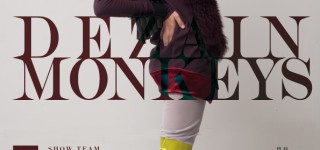 DEZAIN MONKEYS