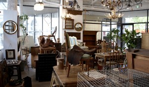 Antique and Brocante Modulor