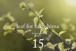 kizunaworld project #15「leaf for fukushima」