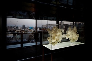Bubbles by SHIOYASU Tomoko Bubbles by SHIOYASU Tomoko