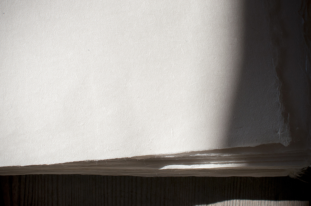 WATARU HATANO|INTERVIEW vol.15