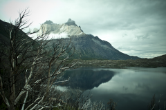 PATAGONIA -Torres del Paine- BY LIFE IS JOURNEY｜photo by Mari Kawauchi