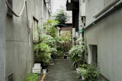 倉庫街の隙間：「観光とローカルの間」東京・蔵前