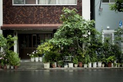 自前の街路樹：「観光とローカルの間」東京・蔵前